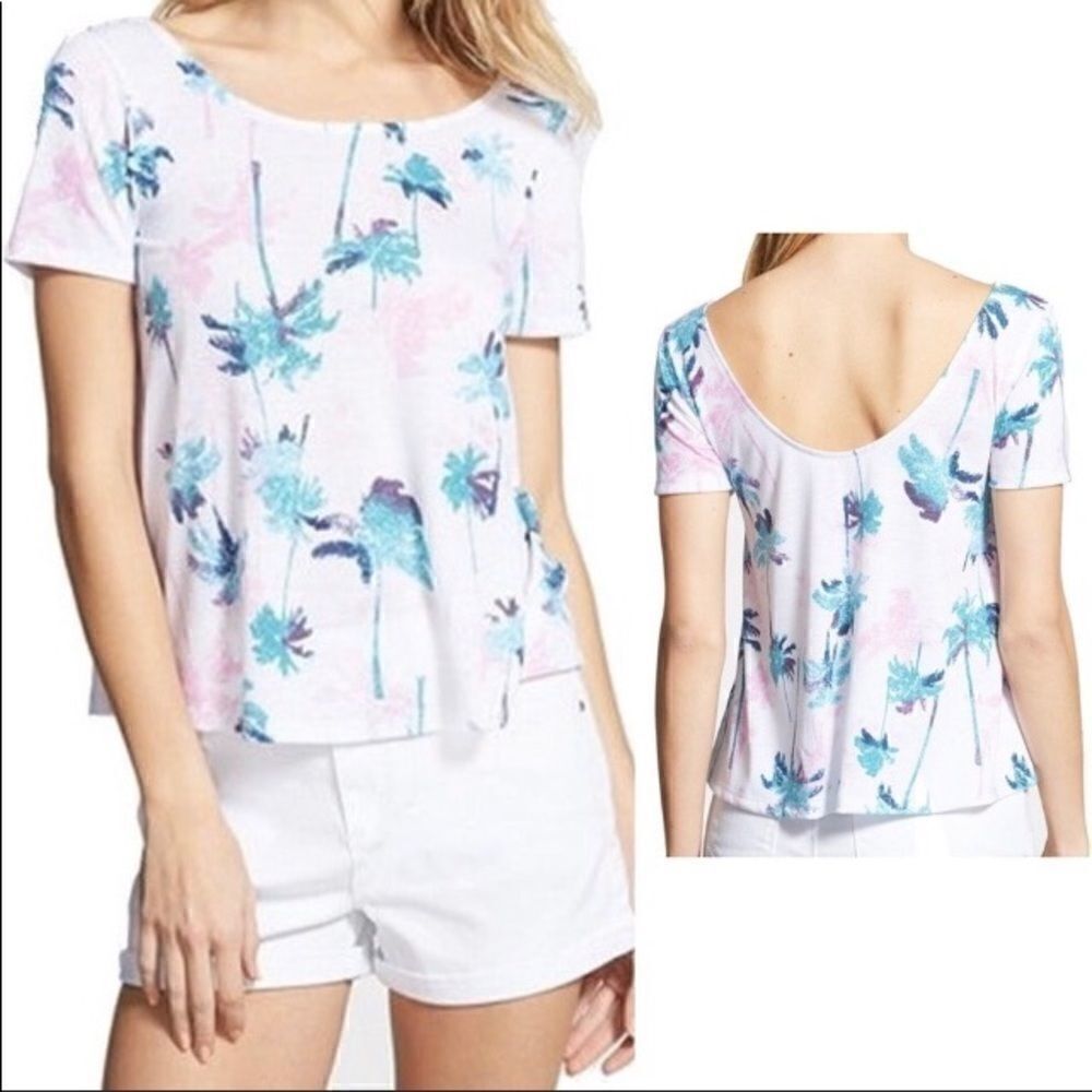 𝅺BP teal peacock palm trees top
